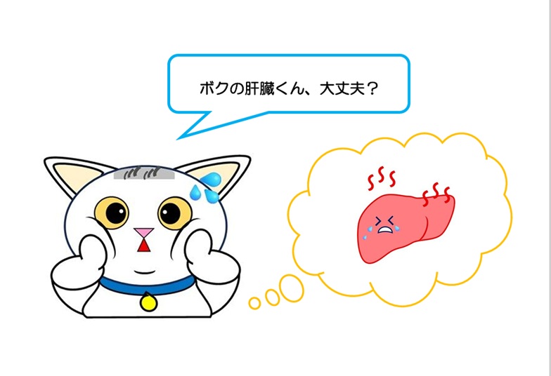 白い猫と肝臓のイラスト
